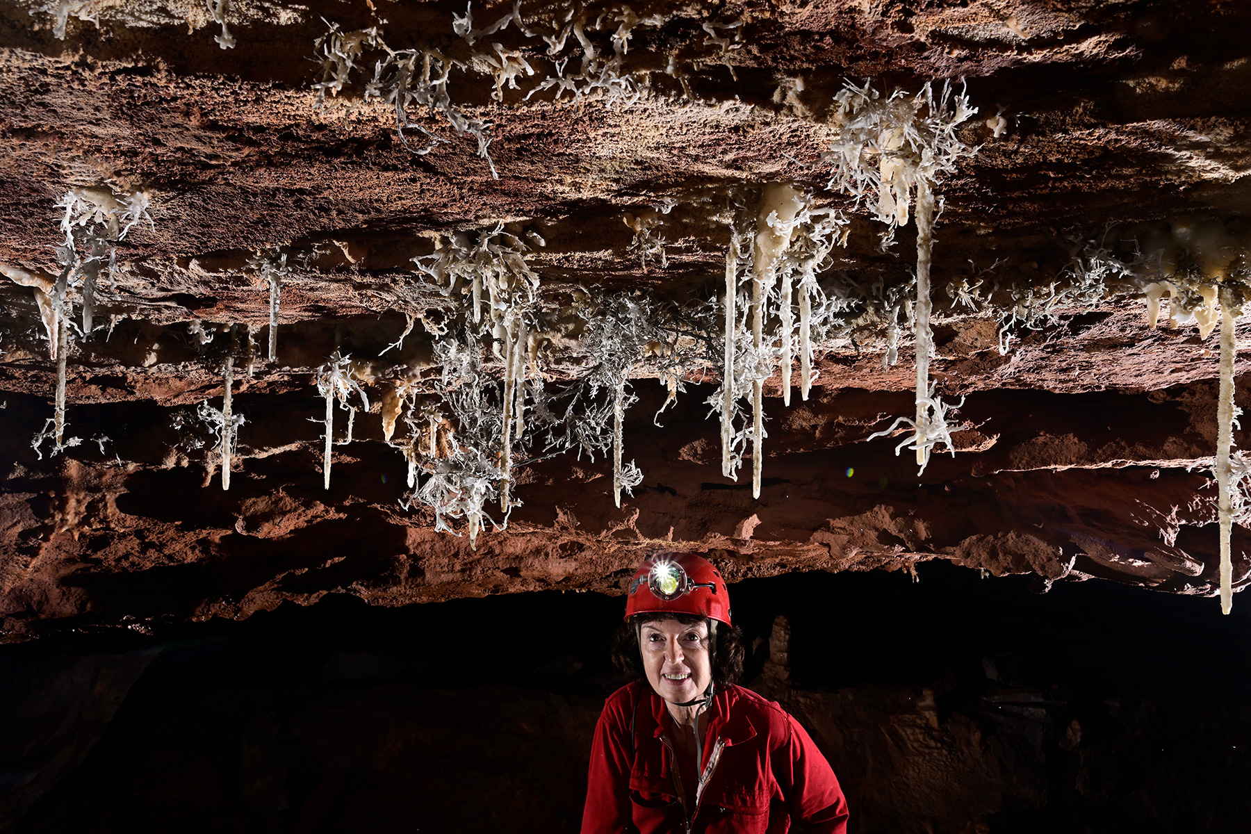 Caverna Angelica (Terra Ronca, Goias) - Spéléo sous un plafond décoré de concrétions d'aragonite